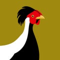 Pheasant vector illustration style Flat