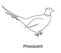 Pheasant vector line icon, illustration of a bird.