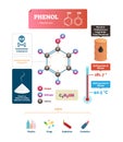 Phenol vector illustration. Labeled molecular acid structure or uses scheme