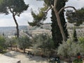 Phenomenal view, Jerusalem