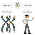 phenotype versus genotype Royalty Free Stock Photo