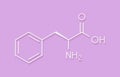 Phenylalanine L-phenylalanine, Phe, F amino acid molecule. Skeletal formula.