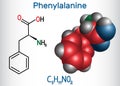 Phenylalanine L- phenylalanine, Phe , F amino acid molecule. Structural chemical formula and molecule model