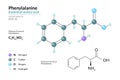 Phenylalanine. Phe C9H11NO2. ÃÂ±-Amino Acid. Structural Chemical Formula and Molecule 3d Model. Atoms with Color Coding. Vector