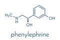 Phenylephrine nasal decongestant drug molecule. Skeletal formula.