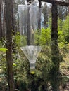 Pheromone trap in the forest. Bark beetle trap. Forest protection from pests. Royalty Free Stock Photo