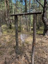 Pheromone trap in the forest. Bark beetle trap. Forest protection from pests. Royalty Free Stock Photo