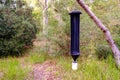 Pheromone trap for invasive insects in a Mediterranean coniferous forest Royalty Free Stock Photo