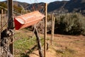 Pheromone trap for pest monitoring in vineyards Royalty Free Stock Photo
