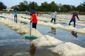 Group of workers making heaps of salt