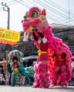 Thai teenagers perform a beautiful lion head puppet show at the annual carnival .