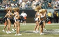 Philadelphia Eagles cheerleaders Royalty Free Stock Photo