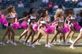 Philadelphia Eagles cheerleaders Royalty Free Stock Photo