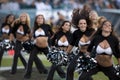 Philadelphia Eagles cheerleaders Royalty Free Stock Photo