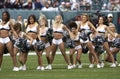 Philadelphia Eagles cheerleaders Royalty Free Stock Photo