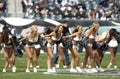 Philadelphia Eagles cheerleaders Royalty Free Stock Photo