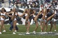 Philadelphia Eagles cheerleaders Royalty Free Stock Photo