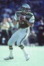 Ron Jaworski