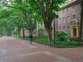 Locust Walk on the campus of the University of Pennsylvania