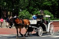 Philadelphia, PA: Horse Carriage with Tourists