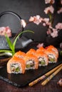 Philadelphia roll sushi with salmon, smoked eel, cucumber, avocado, cream cheese, red caviar. Sushi menu Royalty Free Stock Photo