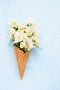 Philadelphus or mock-orange flowers in a waffle ice cream cone on blue background. Summer concept. Copy space, top view Royalty Free Stock Photo