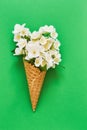 Philadelphus or mock-orange flowers in a waffle ice cream cone on green background. Summer concept. Copy space, top view Royalty Free Stock Photo