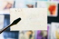 tongs holds postage stamp with unused back side Royalty Free Stock Photo