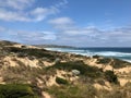 Philip Island Penguin Parade Royalty Free Stock Photo