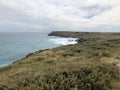 Philip Island Penguin Parade Royalty Free Stock Photo