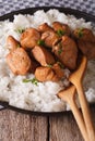 Philippine cuisine: Adobo with rice close-up. vertical