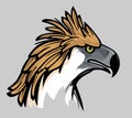 Philippine Eagle Head, Colored Side View Illustration Royalty Free Stock Photo