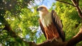 Philippine Eagle (Pithecophaga jefferyi) perched gracefully on a branch in the forest. Generative AI.