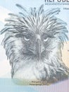 Philippine Eagle a portrait from money