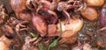 Philippine Food Recipe: Adobo Squid Seafood