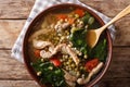 Philippine mung beans soup with pork closeup in a bowl. horizontal top view Royalty Free Stock Photo