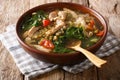 Philippine mung beans soup with pork closeup in a bowl. horizontal Royalty Free Stock Photo