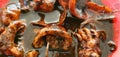 Philippine Seafood Cuisine: Squid Adobo