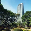 Philippine Stock Exchange Royalty Free Stock Photo