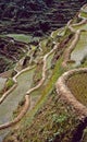 Philippines: Banaue Rice terraces on Luzon Island