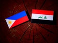 Philippines flag with Iraqi flag on a tree stump isolated Royalty Free Stock Photo