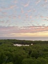 Sunset over mangrove forest ocean view