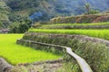 Philippines rice terrace Royalty Free Stock Photo