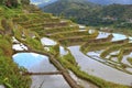 Philippines rice terraces Royalty Free Stock Photo