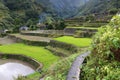 Philippines rice terraces Royalty Free Stock Photo