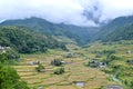 Philippines, rice terraces in the valley Hapao Royalty Free Stock Photo