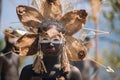 Unknown asian girl with painted face and ethnic costume while performance. Attractive unknown dancer. Asian tribal girl.