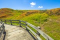 Phillip Island Nature Park Royalty Free Stock Photo