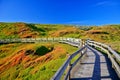 Phillip Island, Victoria, Australia. Royalty Free Stock Photo