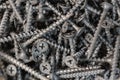 Phillips wood screws background many short screews Royalty Free Stock Photo